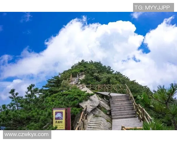 2025环大别山多彩旅行路自行车联赛（团风站）闭幕